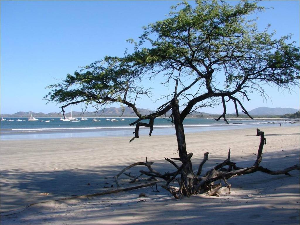 Jet Luxury At Langosta Beach Resort & Villas Tamarindo Eksteriør billede